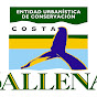 TVCOSTABALLENA