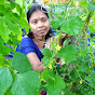 light weight terrace garden Gajawada swaroopa