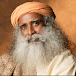 Sadhguru Deutsch