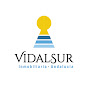 VidalSur Real Estate