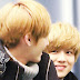 logo LULU KRIS