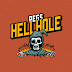 logo REGS