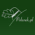 logo Leszek Kaminski (Polunek)