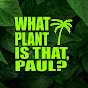 What Plant is that, Paul?