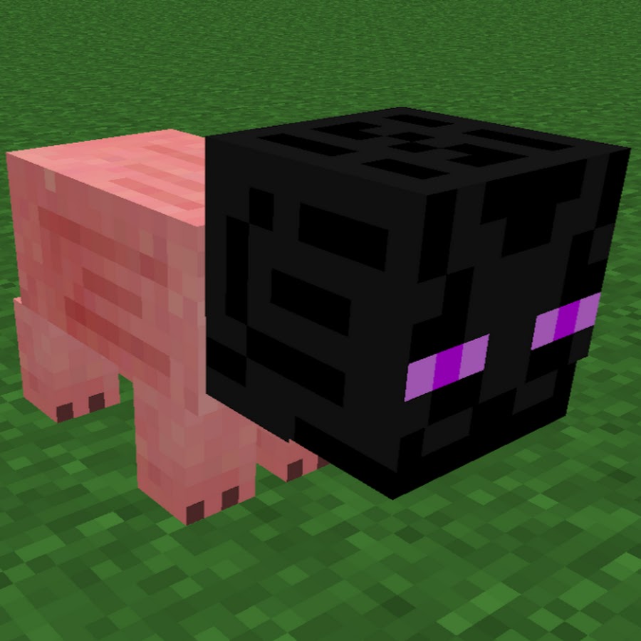 The EnderPigs
