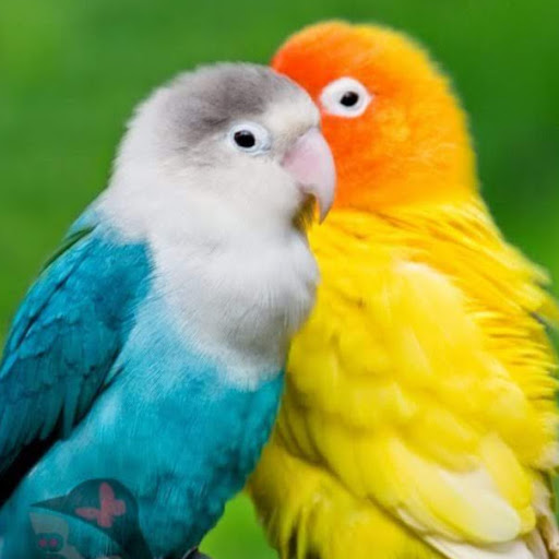 UCL0oOu04LE3hGklko-Dnpbw