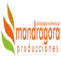 MandragoraVisual