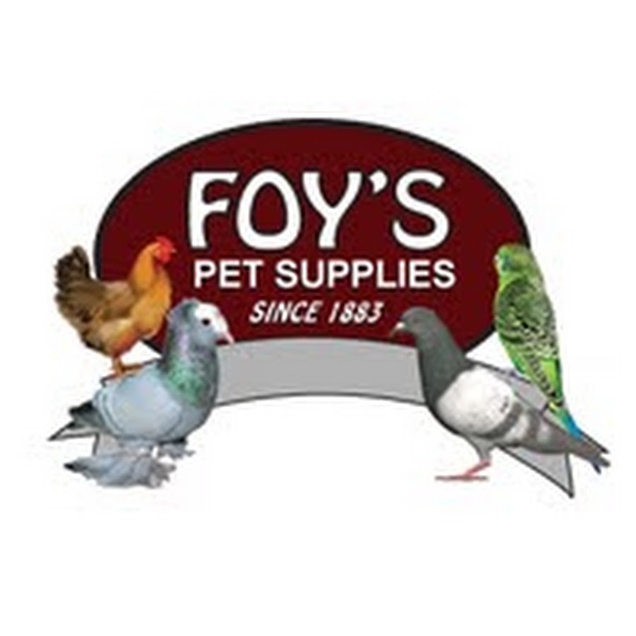 FoysPigeonSupplies YouTube