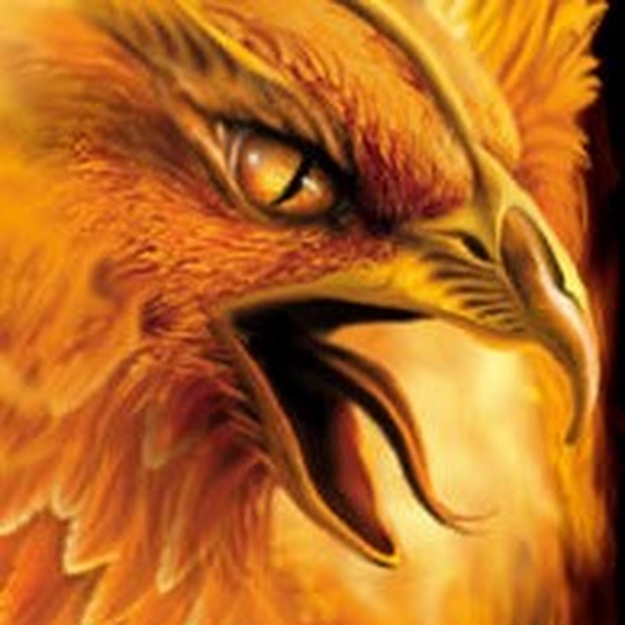 Phoenix 69. Phoenix Dota.