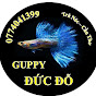 Đức Đỗ Guppy