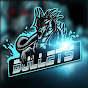 Bullets