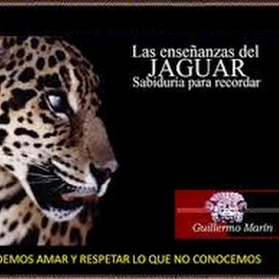 Enseñanzas del Jaguar