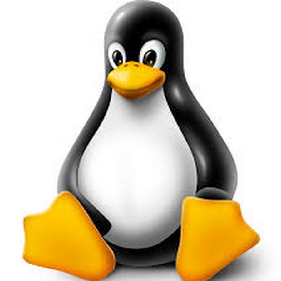 free_linux_training