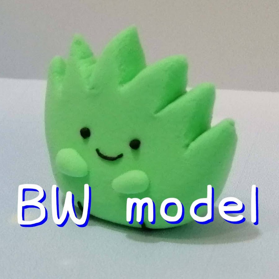 BW model-窮酸鬼的鋼普拉-
