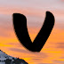 logo VizVid