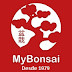 mybonsai no youtube