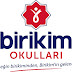 Birikim Arşiv