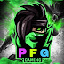 logo PlayingFunGaming