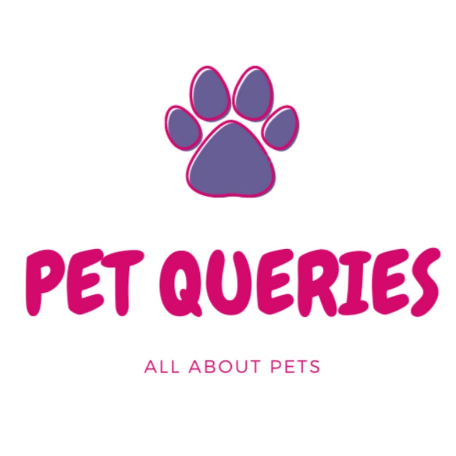 Pet Queries