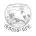 logo Shrimp Life