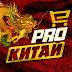 logo PRO Китай