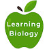 logo BioLogos