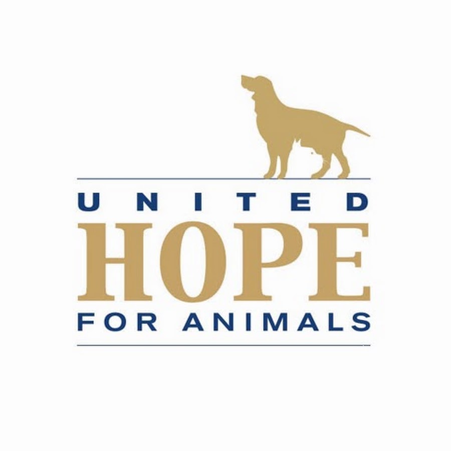 United Hope for Animals