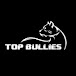 Top Bullies