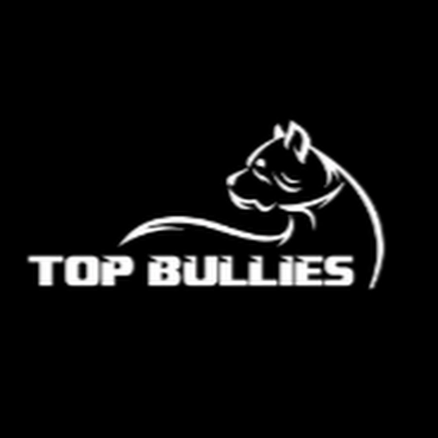 Top Bullies @topbullies8536