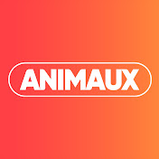 Animaux TV