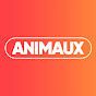 Animaux TV