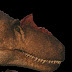 Allosaurus FragMan