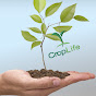 CropLife Philippines