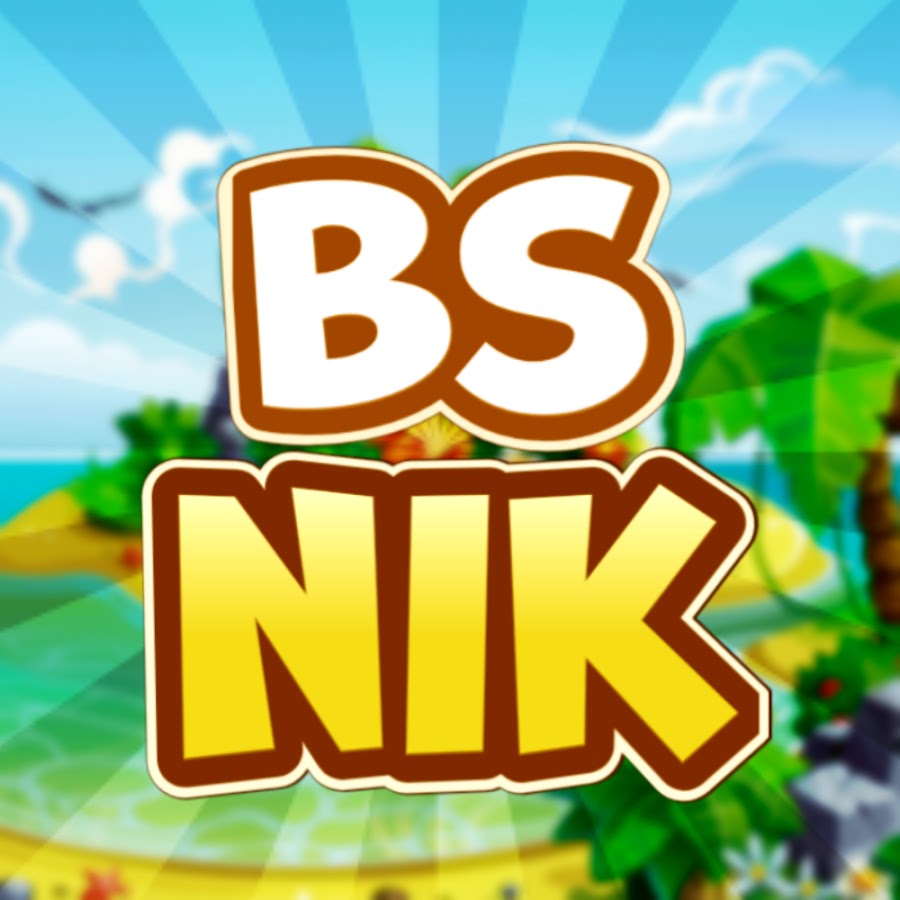 BS NiK