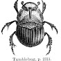 Tumblebug storyteller