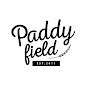Paddy field / Paddy field SUMMER