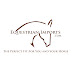 Ann Forrest - Equestrian Imports