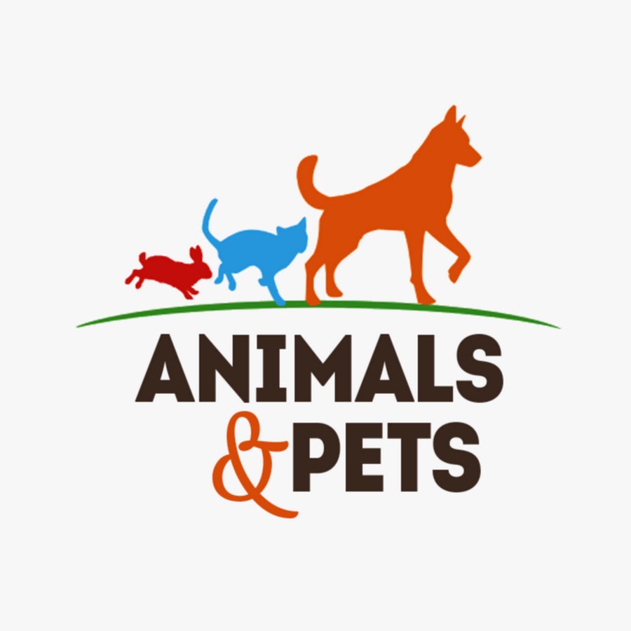 Animals and Pets