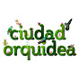 CiudadOrquidea