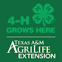 Texas 4-H