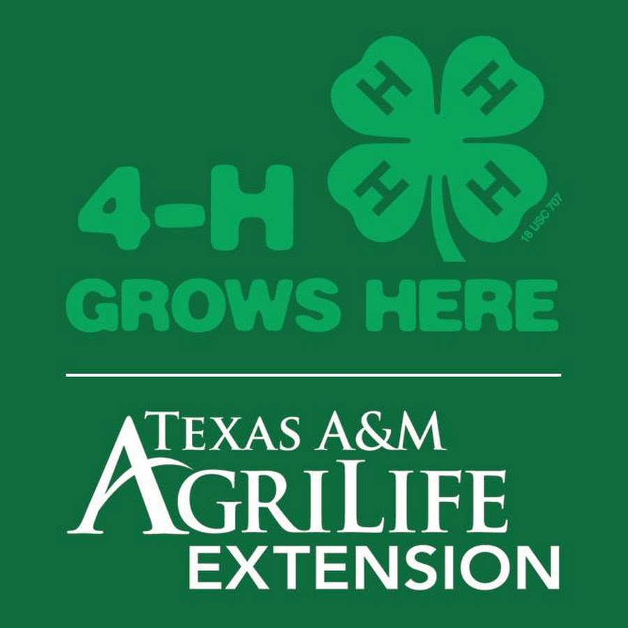 Texas 4-H