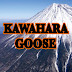 かわはらぐーす kawahara goose