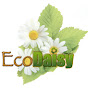 EcoDaisy