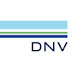 logo DNV - Digital Solutions