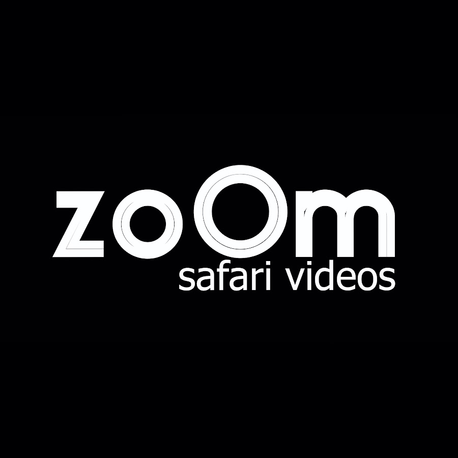 zoOm safari videos