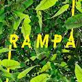Artist Thumbnail