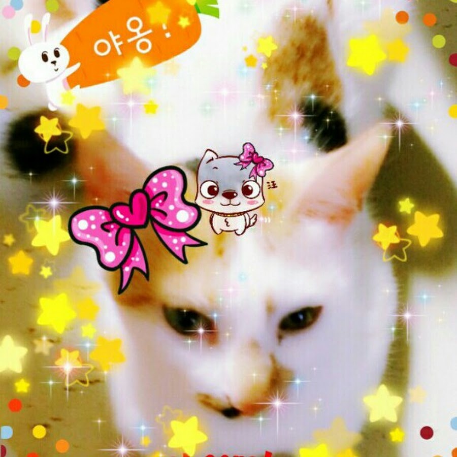 꽃님이 - YouTube 꽃님이