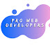 Pro Web Developers