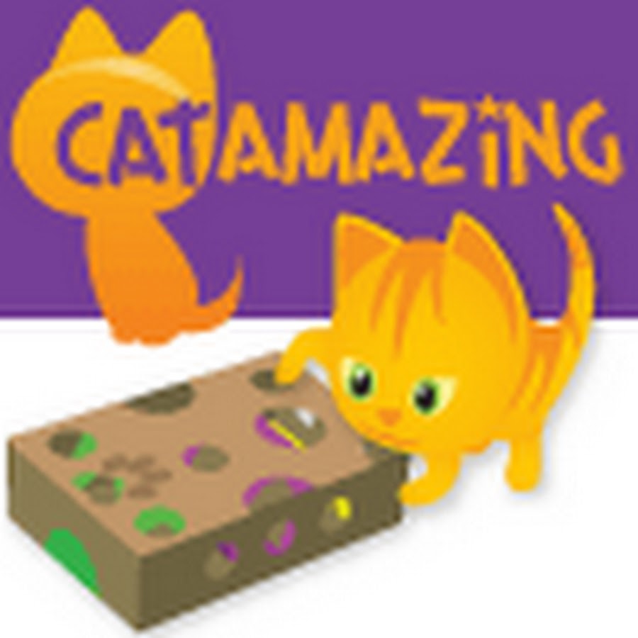 CatAmazing