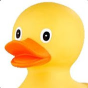 Dook